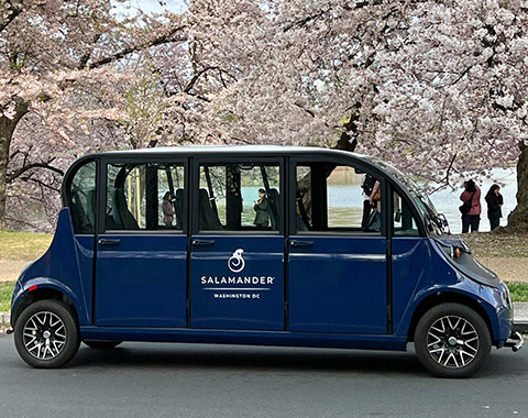 Salamander Gem Car