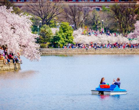 a boat on the tidal basin