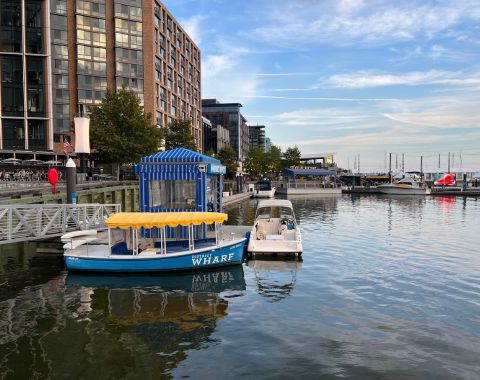 A couple boats in the harbor