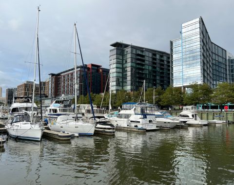 Boats in the harbor