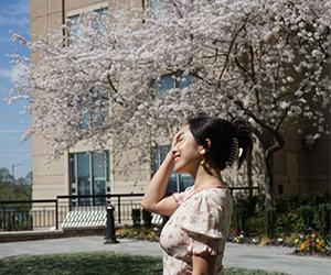cherry trees blossom at Salamander Washington DC