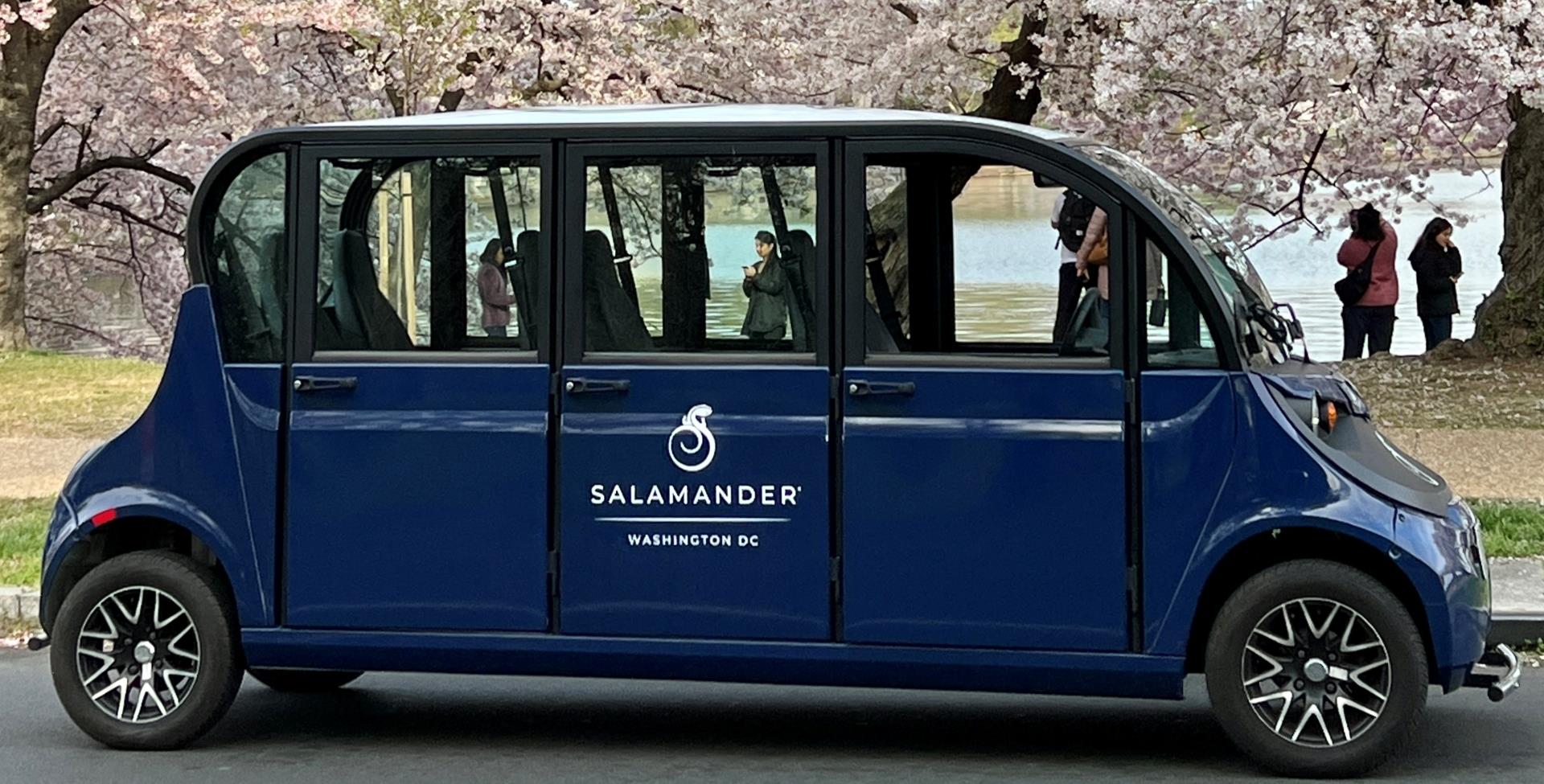 Salamander Gem Car