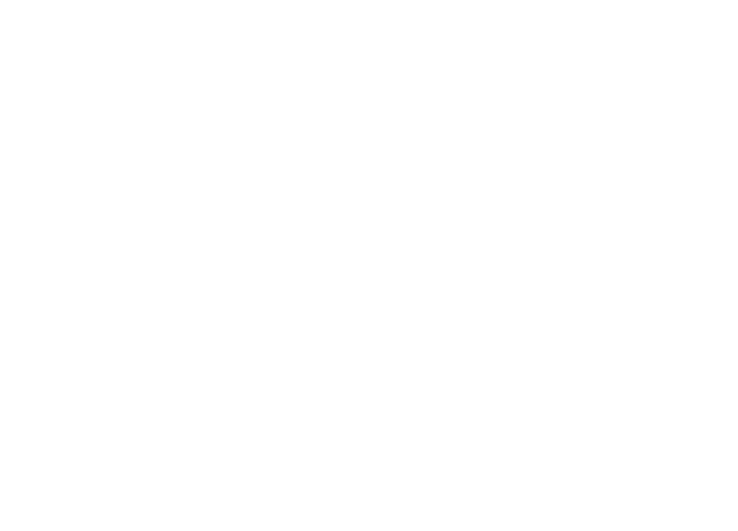 Salamander Collection