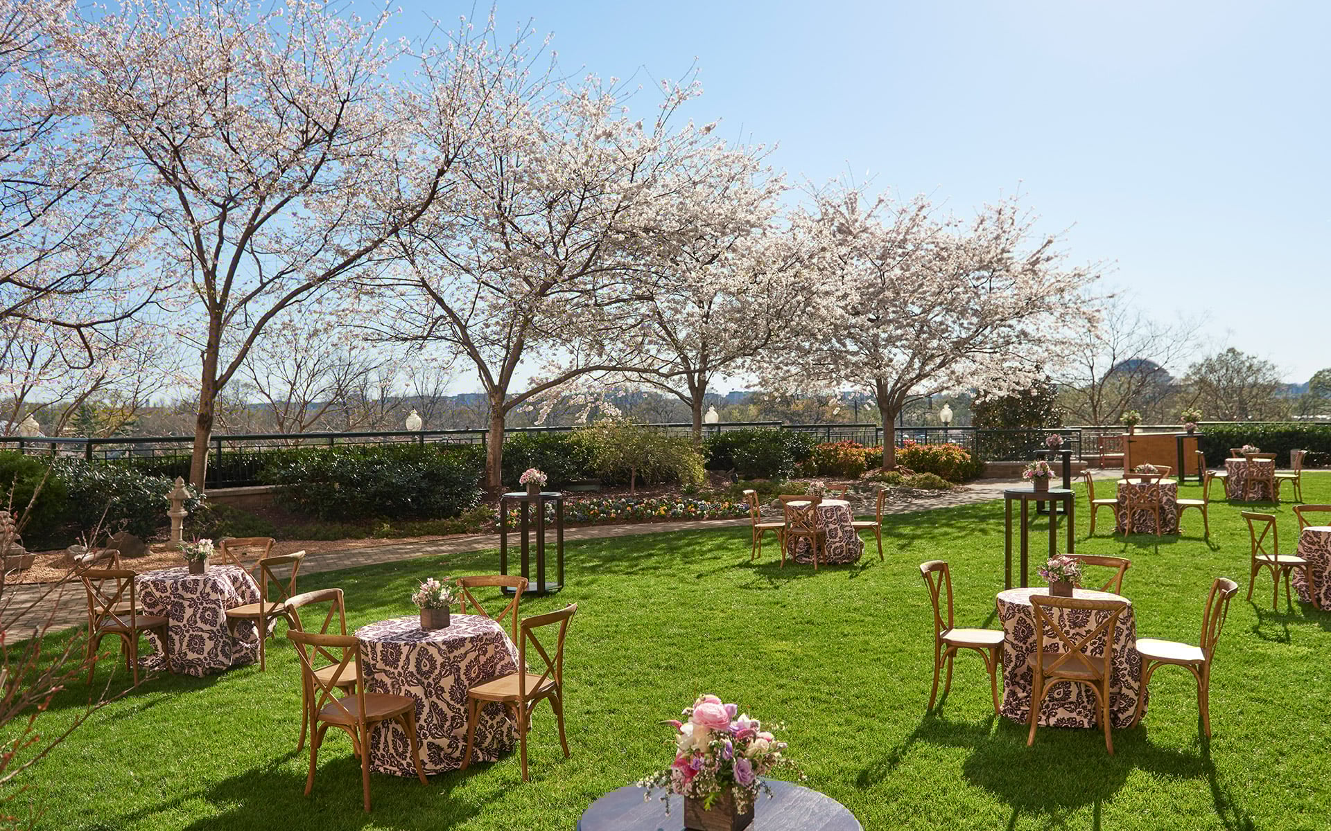 Outdoor lawn area with circle tables and cherry trees blossoming along a pathway